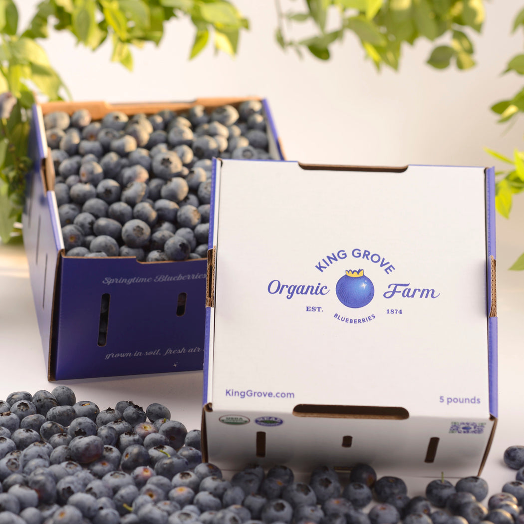 Fresh, Real Organic Florida Blueberries - SOLD OUT for 2023