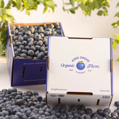 Fresh, Real Organic Florida Blueberries - SOLD OUT for 2023